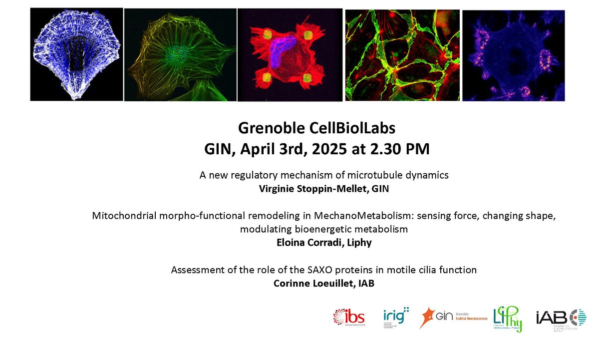 📅 Save the date! The next edition of the Grenoble Bio Cell Club will be held at the GIN on April 3rd, at 2.30pm.
A snack will be served from 2.15 pm.