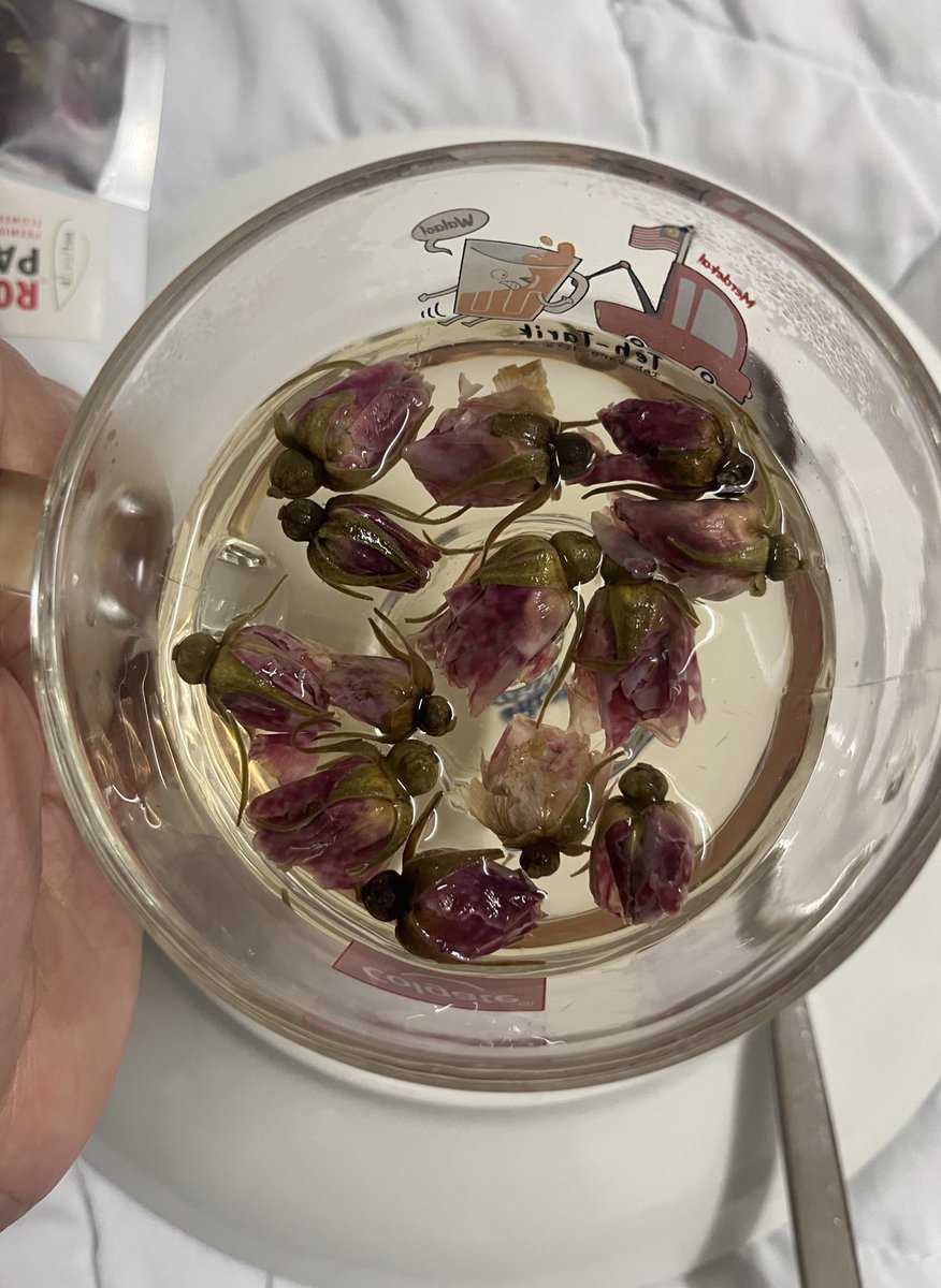 kyrhhhh's tweet photo. Lepas tahu khasiat rose bud tea ni terus rasa nak cuba. Kalau korang nak sihat luaran &amp; dalaman without consume any supplement boleh try minum this tea https://t.co/iei8FpFyWZ

#Leaftea #shopeehaul #raya2025 #Raya https://t.co/37f5DaG9M9