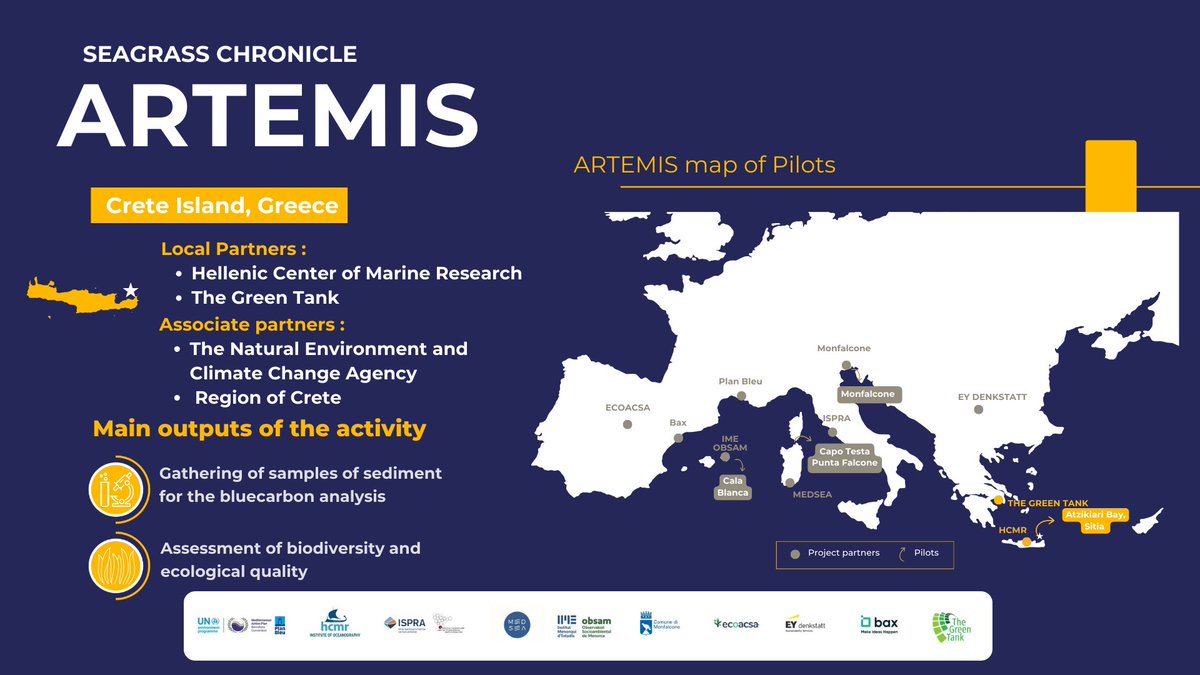 🌱Second Seagrass Chronichle is published on our website. Explore with our Greek partners the pilot site  of Atzikiari Bay to learn more about the challenges the site is facing and the activities our team is performing.#save and #protect our #Mediterranean artemis.interreg-euro-med.eu/2025/04/01/sea…