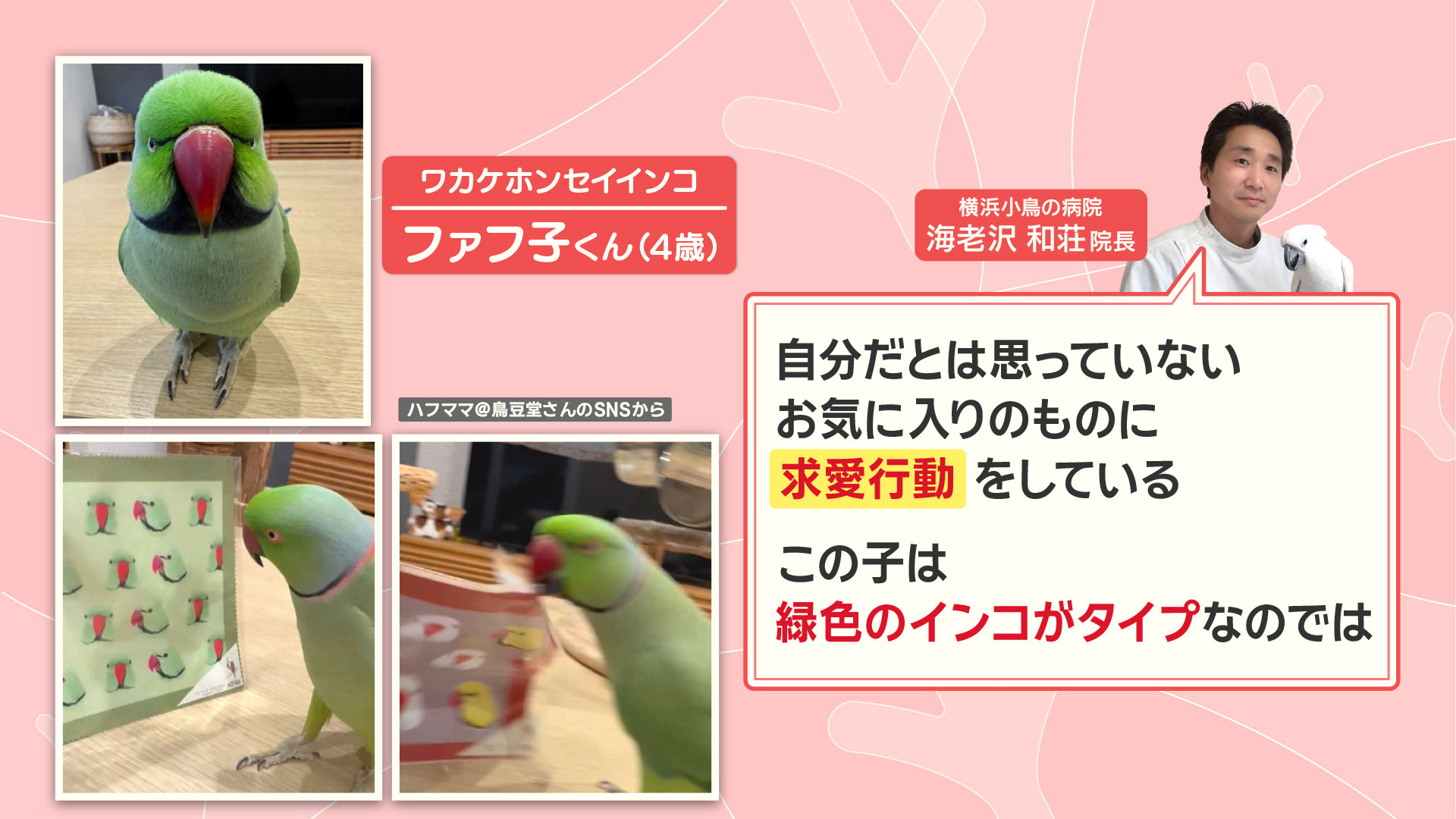 羽鳥慎一モーニングショー on X: 