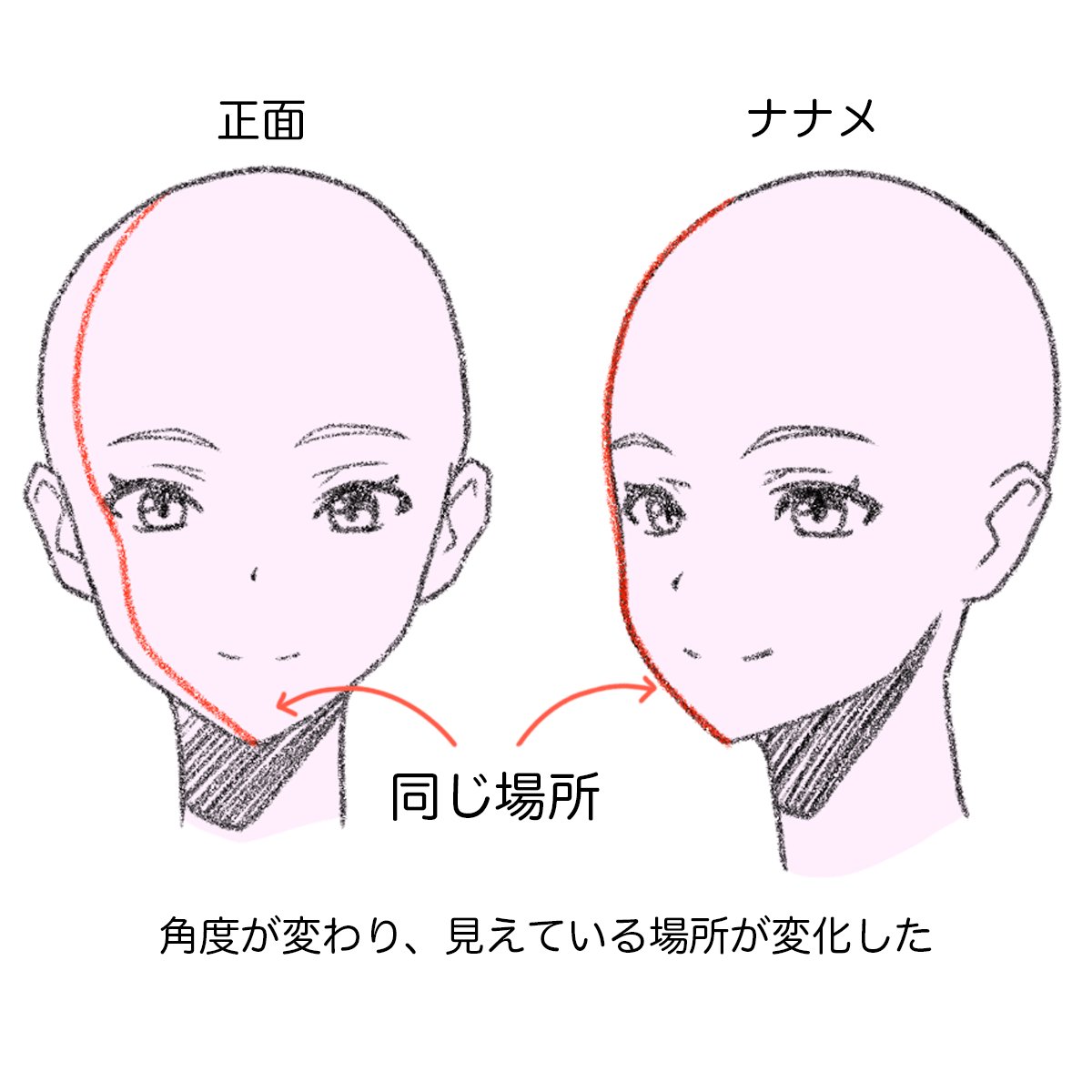顔の立体感を理解するポイント💡