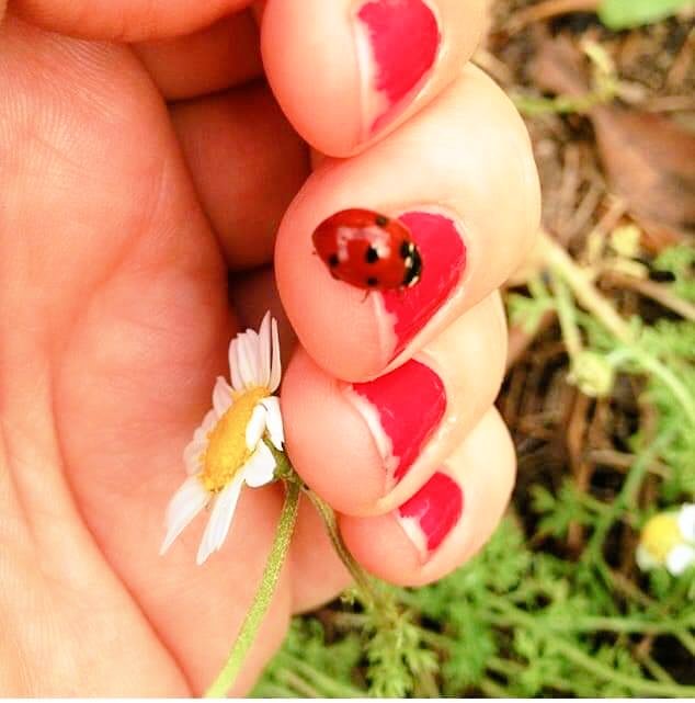 Üzüm üzüme baka baka
insan insana
ben kuşlara
pır, yegane şiirdir.

Kuş oluş tezgahından geçtim nasıl olsa
gidiyorum.

<a href="/ulueraydogdu/">Uluer Aydoğdu/Yeryüzü Yeniği</a>