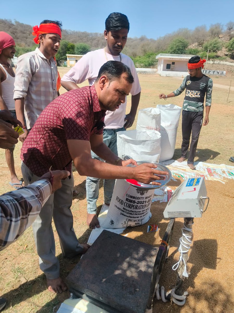 fcidoalwar's tweet photo. मंडल कार्यालय अलवर के अंतर्गत गेहूं खरीद केंद्र बलुआपुरा पर आज दिनांक 01.04.2025 से खरीद कार्य  का शुभारंभ हुआ। https://t.co/fQMwjMLrmN
