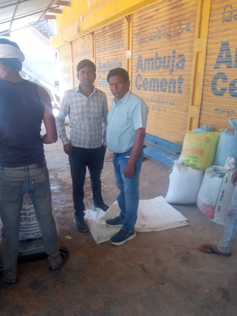 मंडल कार्यालय अलवर के अंतर्गत गेहूं खरीद केंद्र बसेड़ी (धौलपुर)पर आज दिनांक 01.04.2025 से खरीद कार्य  का शुभारंभ हुआ।