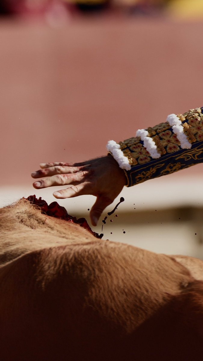 Offroadsite's tweet image. 