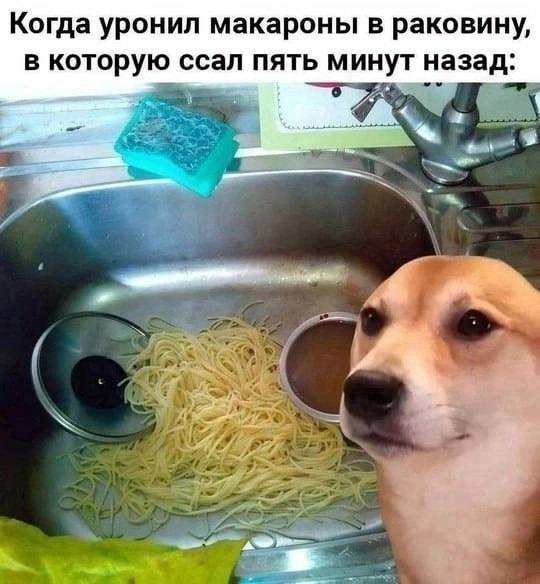 сугарбагет's selected щищьпостинг (@sugarbaget) on Twitter photo 