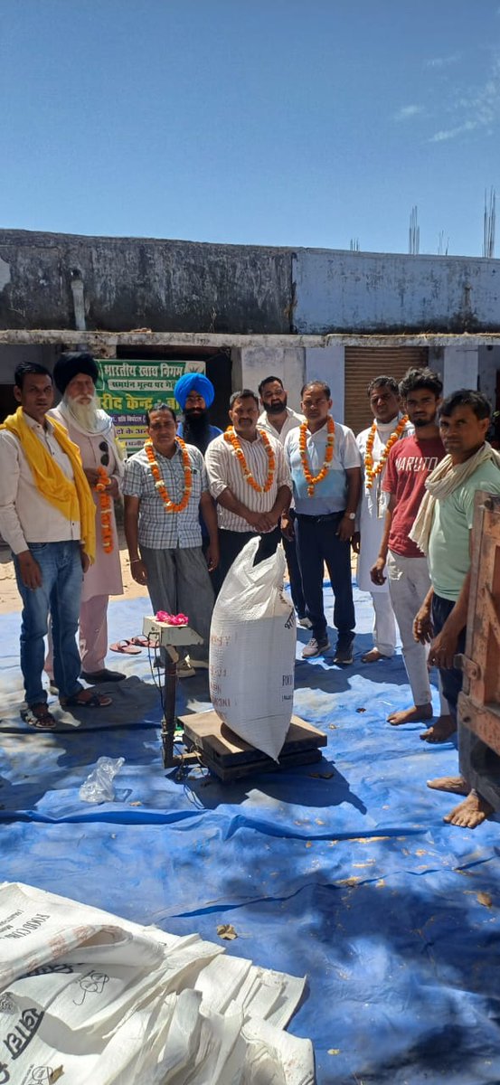 मंडल कार्यालय अलवर के अंतर्गत गेहूं खरीद केंद्र बाड़ी (धौलपुर)पर आज दिनांक 01.04.2025 से खरीद कार्य  का शुभारंभ हुआ।