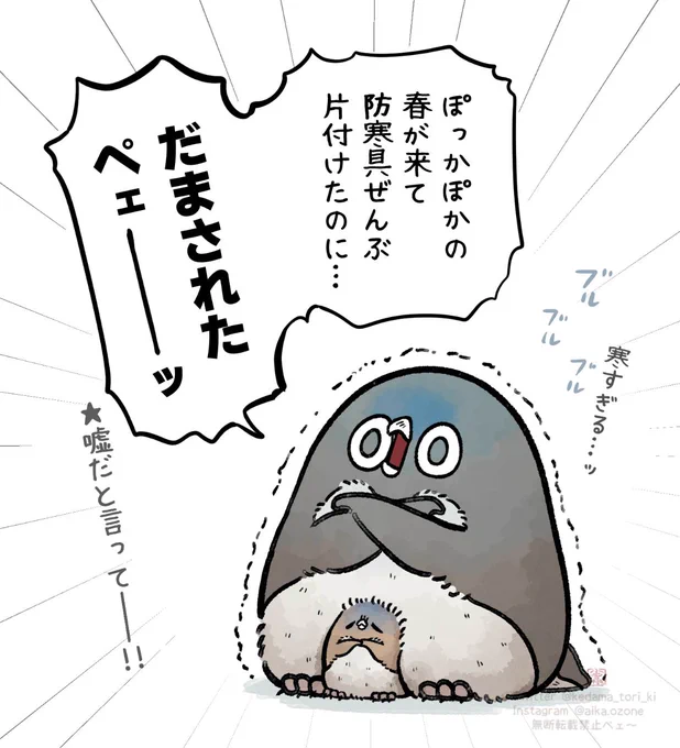 嘘(エイプリルフール)のような寒さ
#虚無かわいいアデリーペンギン 