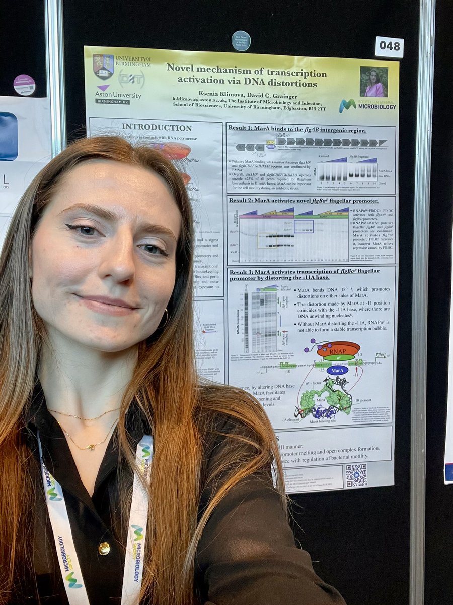 XenosInScience's tweet image. Presenting a poster with my PhD work today at the #Microbio25 organised by @MicrobioSoc, very exited to share my research!
Please come talk to me (I’m poster A048) at the poster session you are interested in transcription initiation 😊