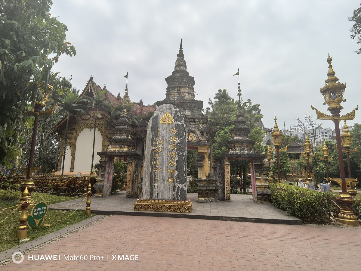 玩累了，坐在酒店喝茶🏨，打开床帘被惊艳到了#西双版纳