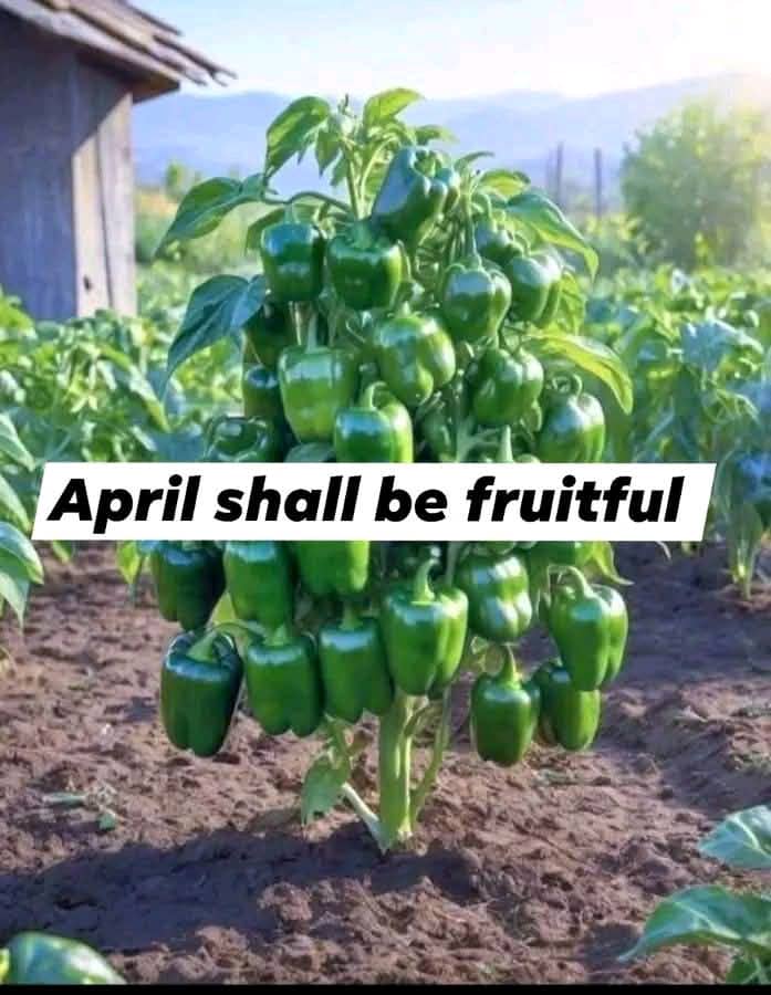 Let's embrace the new month together! To all my friends, I wish you peace, blessings, and positivity. Happy New Month!