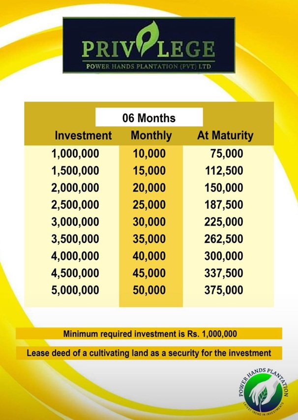 YIELDERPHP's tweet image. High yield, quick returns (six months term). 
This comes in handy. 
Call me.