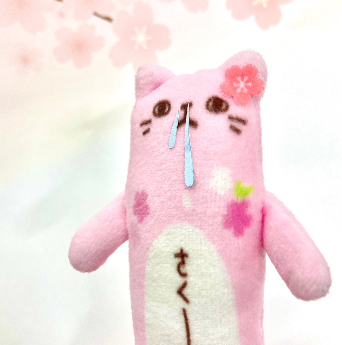 ⭐︎ランランページひ⭐︎のびねこ他⑥ ⭐︎ランランページひ⭐︎のびねこ他⑥ らんらん🇯🇵 (@ranran73