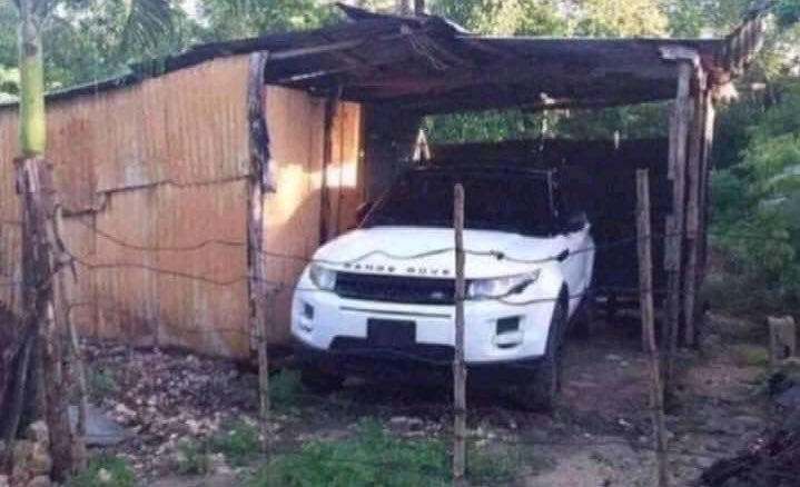 L E S E D I (@_hybreed_) on Twitter photo 