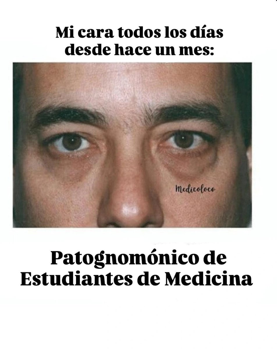ADEMED_URJC's tweet photo. Hoy es martes 🗓, ¿Y sabes qué quiere decir eso? 
¡MEMES!🥳
Podéis echarle un ojo a todos en el perfil de instagram 👀⬇️
https://t.co/sCdiJNZiMi https://t.co/yfK4KgDaTO