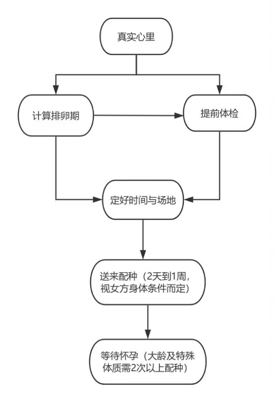 S9118479187551's tweet photo. 下种及借种流程 https://t.co/YOfyoRMTud