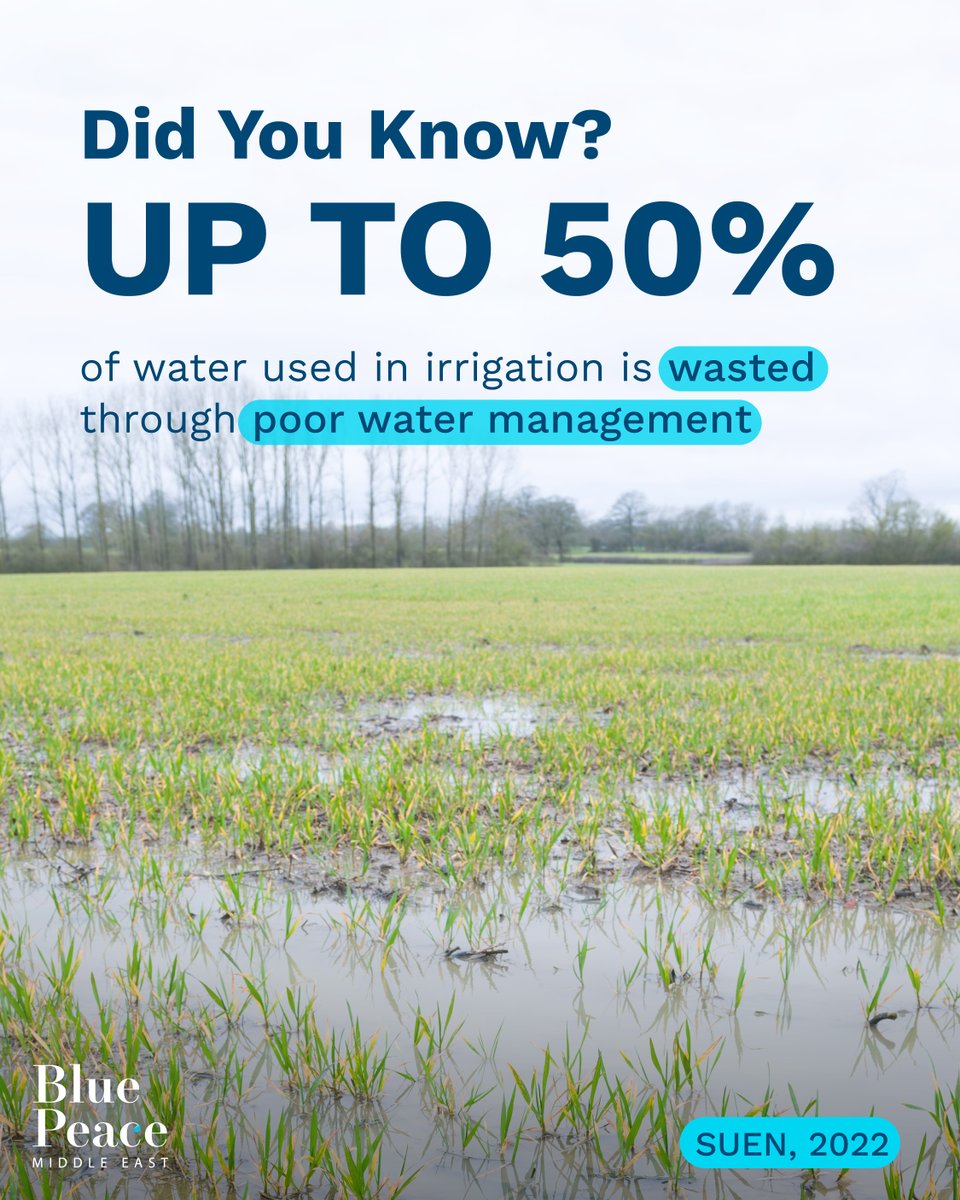 Over 50% of water meant for irrigation never reaches crops! It gets lost through leaks and inefficient irrigation practices, leading to flooded fields, soil salinity and pollution.
Smarter irrigation not only saves water, but also improves soil health and productivity. Lets make