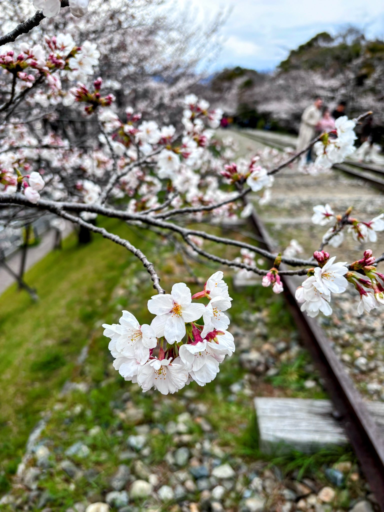 公式】大本山 南禅寺 (@nanzenji_kyoto) / X 公式】大本山 南禅寺 (@nanzenji_kyoto) / X