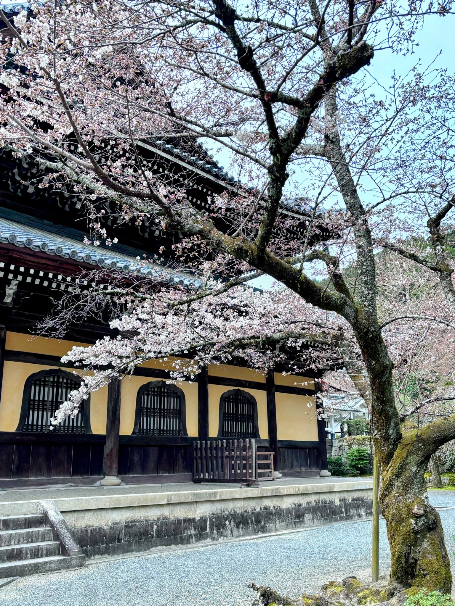 公式】大本山 南禅寺 (@nanzenji_kyoto) / X 公式】大本山 南禅寺 (@nanzenji_kyoto) / X