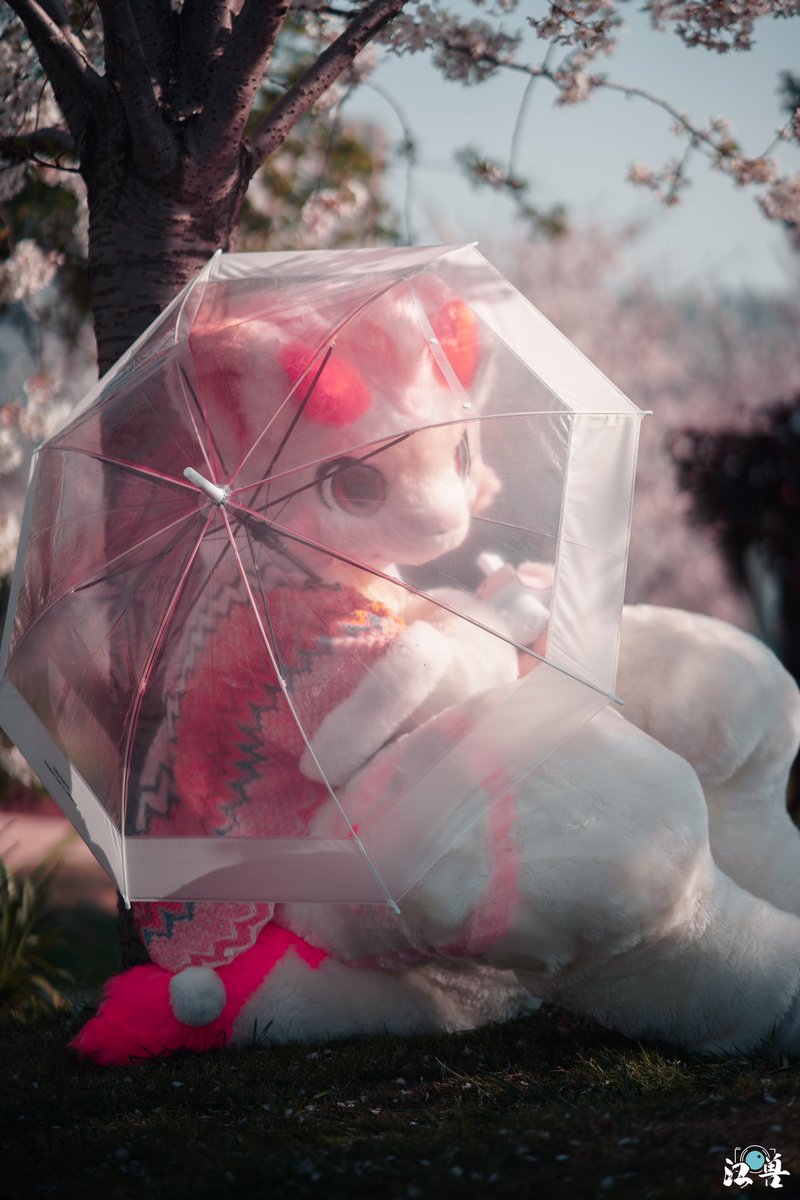 #ATOAMA2025
中中中中中，放点好看的照片😋