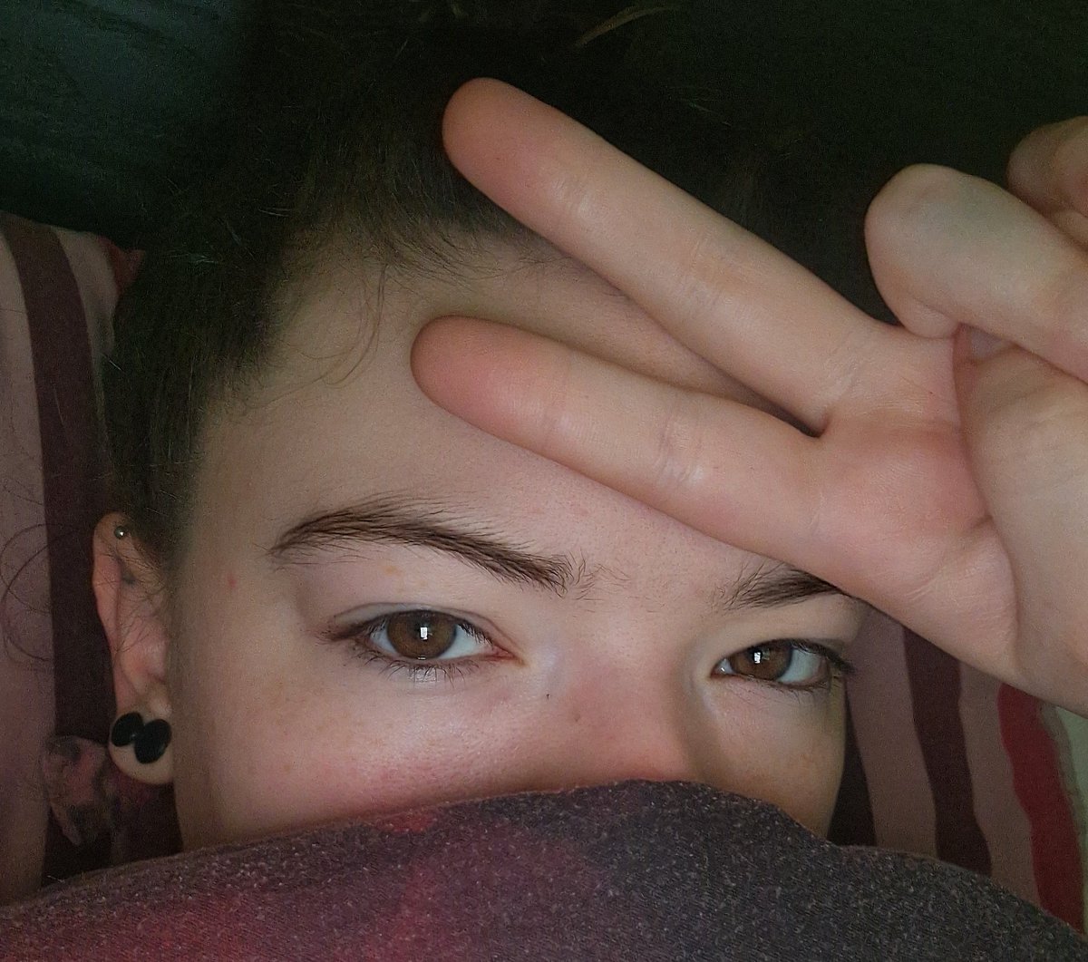 Ember | Little streaming bean 🫘 tweet media