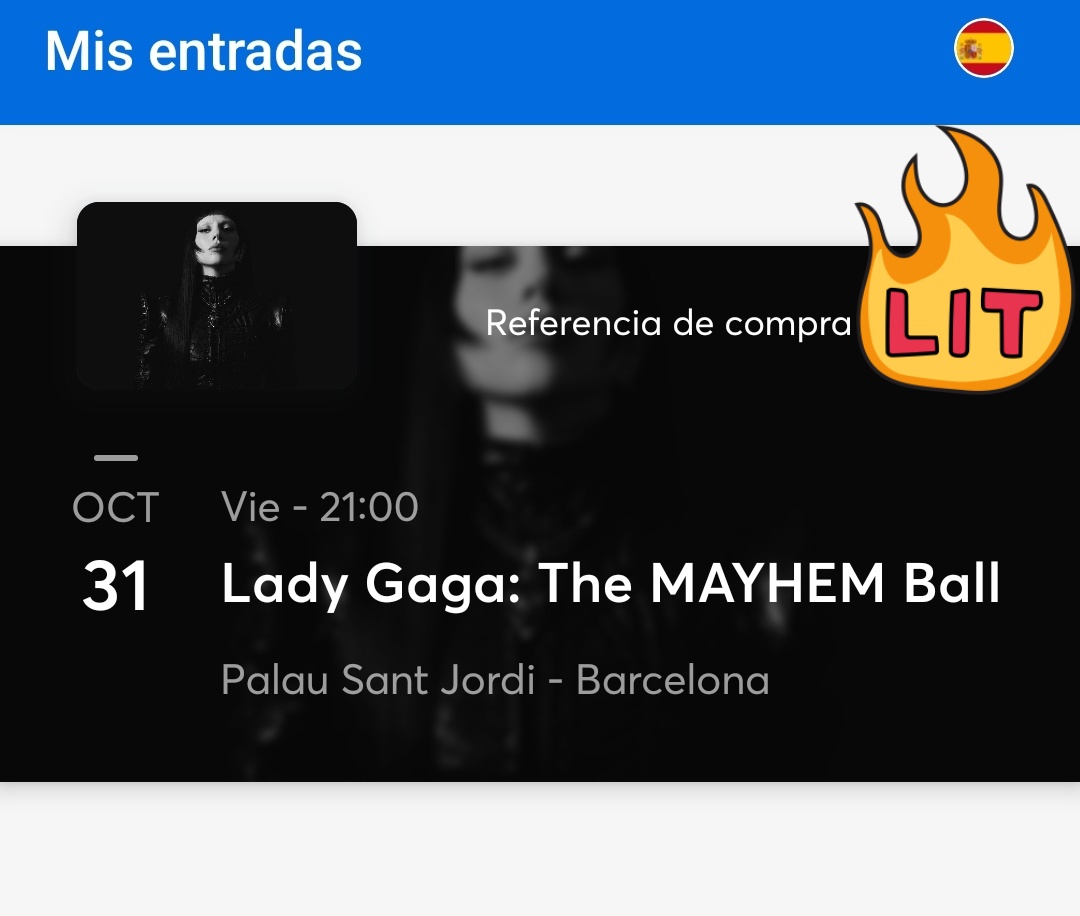 Conseguí entrada para Lady Gaga; he sobrevivido a los juegos del hambre.