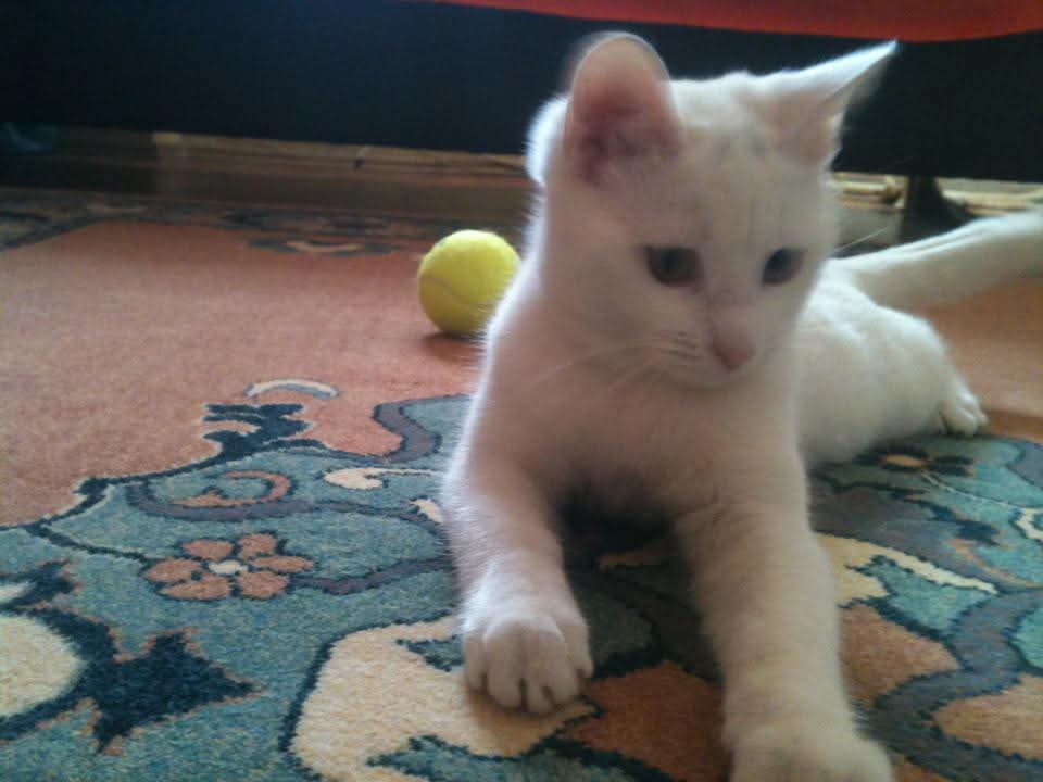 Eser Güzel tweet media