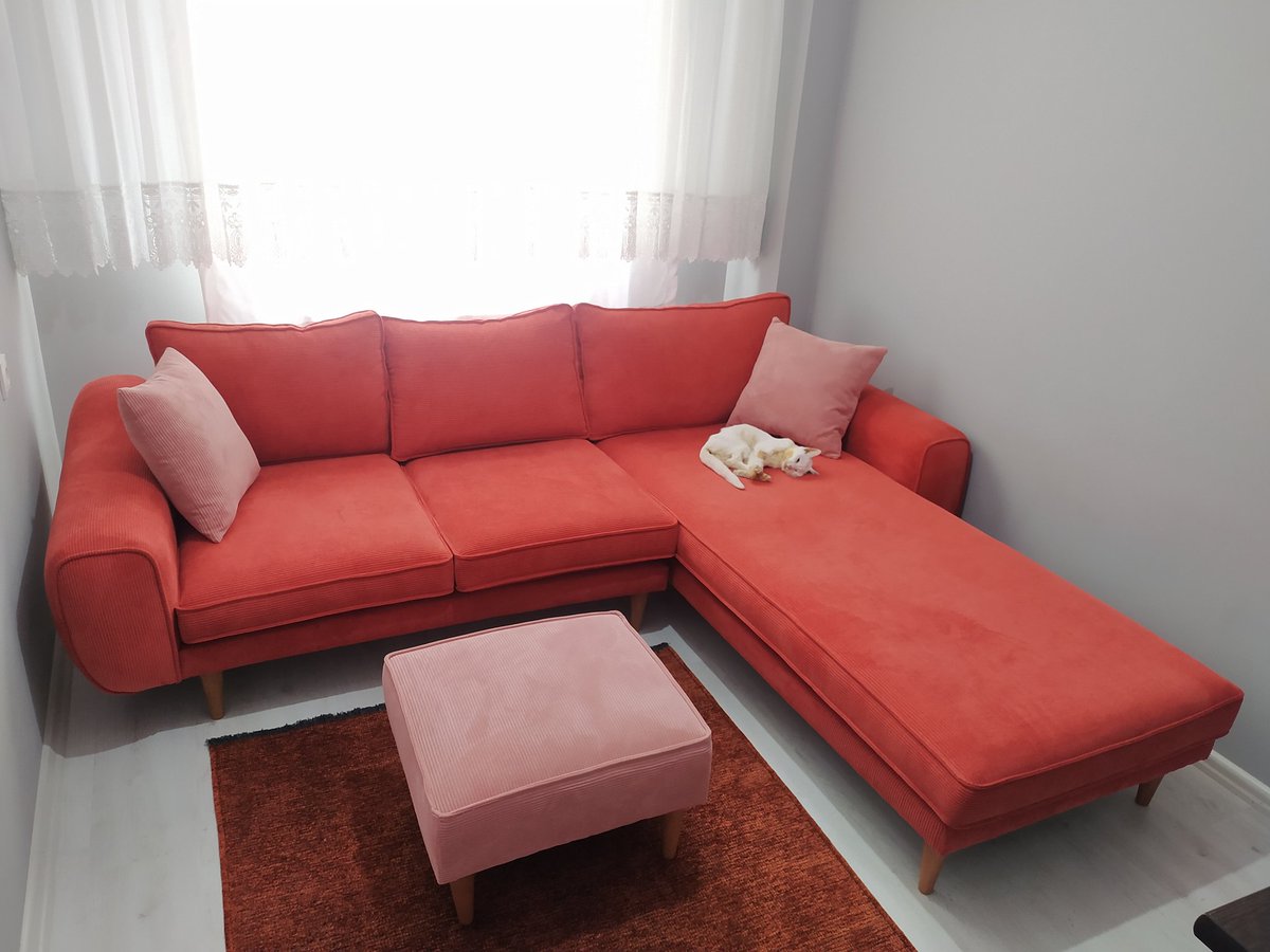 Eser Güzel tweet media