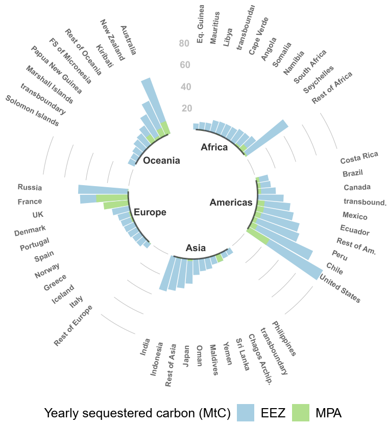 Fabio Berzaghi tweet media