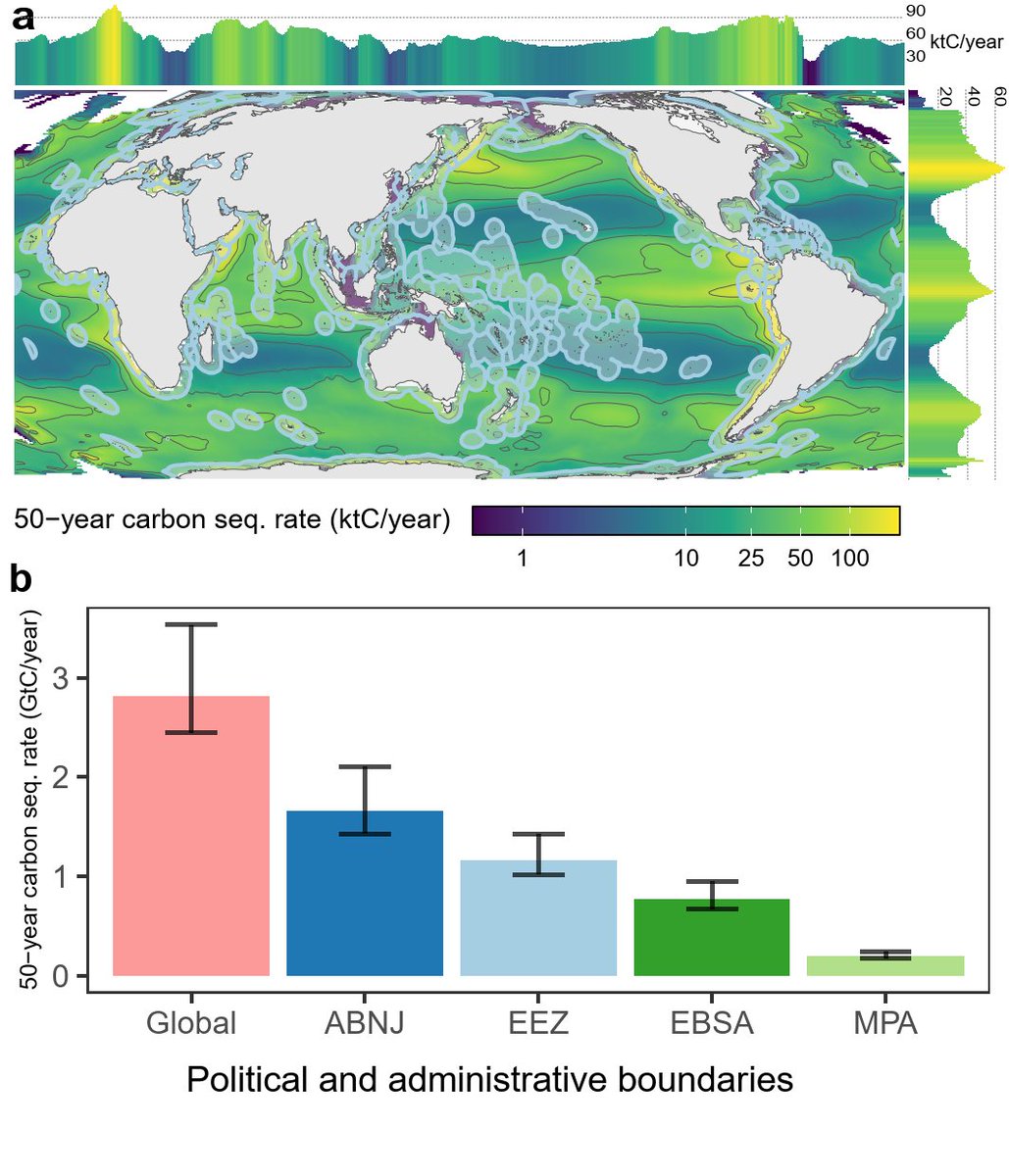 Fabio Berzaghi tweet media