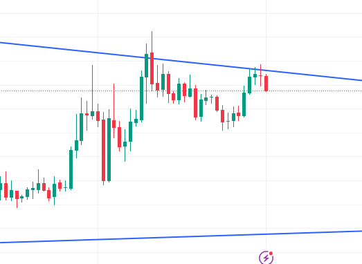 LINX ⛩️ | Captainz tweet media