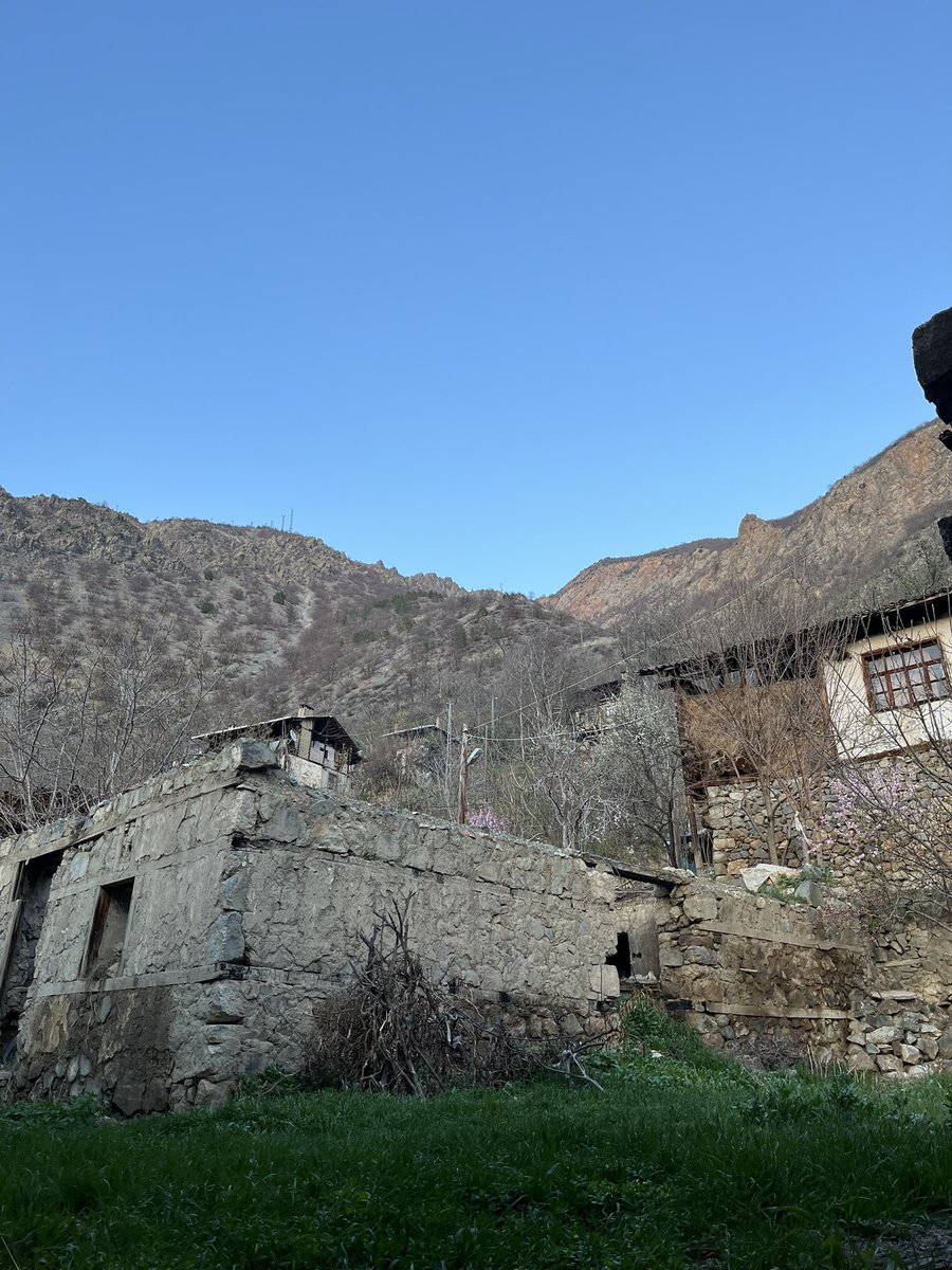 Fatma0800's tweet photo. Köyde huzur bulanlar 🤩 https://t.co/xekI9BRoTO
