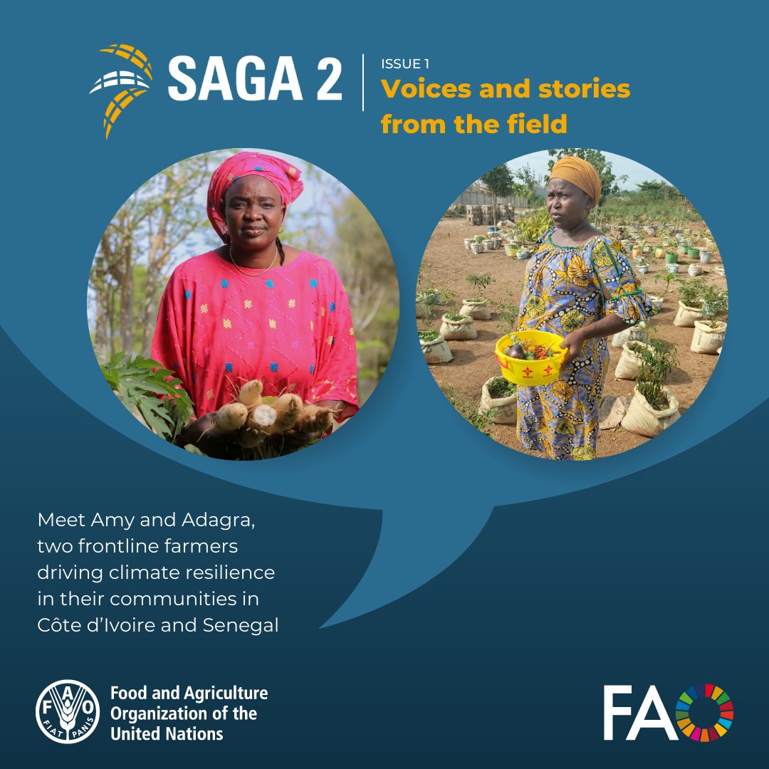 Women are central to producing and providing our food - yet are the hardest hit by #climatechange.

Discover how <a href="/FAO/">Food and Agriculture Organization</a> with support from the <a href="/GouvQc/">Gouvernement du Québec</a> is empowering women to lead #ClimateAction in Côte d’Ivoire and Senegal through #SAGA2.

👉  bit.ly/4hnGA2C