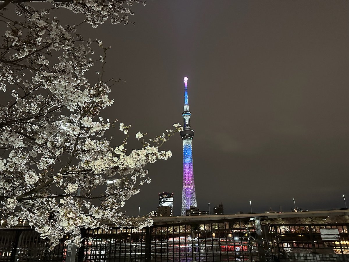 Ce lundi les 31 mars, les touristes et locaux de la capitale japonaise ont pu assister à un spectacle féerique: la floraison des cerisiers, appelée sakura. Moment très attendu au sein de cette ville grouillante où les sakura 🌸🌸🌸 cohabitent avec les buildings 🌇!!!! 🤩🤗🥰