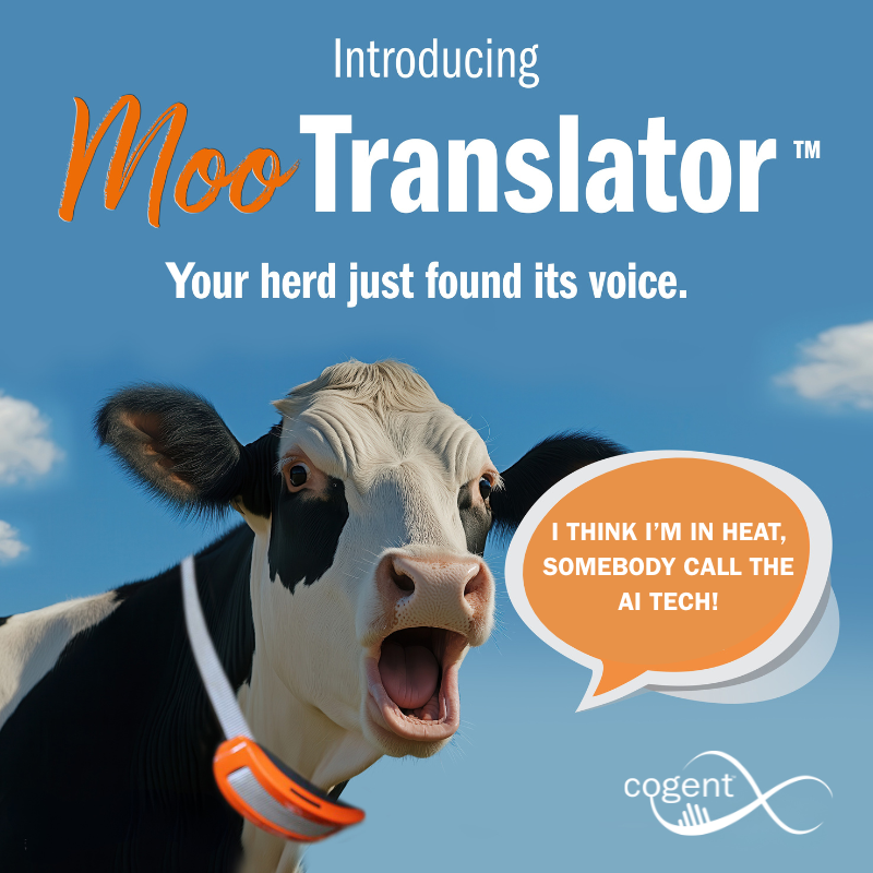 Introducing MooTranslator™ 
- Advanced audio detection and behavioural AI
- Translates moos into clear, human-readable messages
- Seamlessly pairs with our existing cow collars 

Happy April Fools
We haven’t quite cracked cow to human translation yet, but we’re working on it.