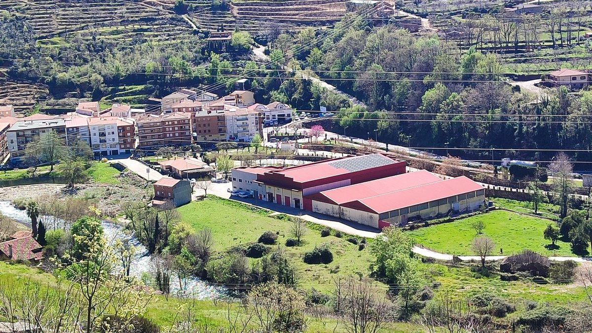 NavadelConcejo's tweet photo. Fotos desde la solana del Valle, en Navaconcejo, desde unos 700 msnm. Se puede ver que, en líneas generales, a penas a flores en los cerezos (si hay algunas fincas, algunas clases, Royal Tioga, que están floridos, pero no son ni el 10%)
FOTOS DE COOP. DEL CAMPO DE NAVACONCEJO https://t.co/CnBYqrOtZJ