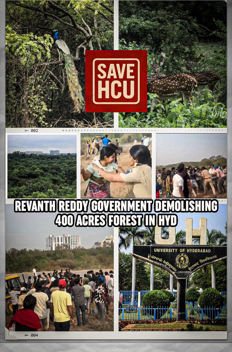 Aadi18_3's tweet photo. @RahulGandhi Stop this FAKE PR Rahul.. 

Look at your Congress Government atrocities in Telangana 

Are trying to acquire the Hyderabad Central University land to benifit your Robert Vadra ? 

Why don't you respond about HCU issue Rahul ? https://t.co/HsXeXg01oq