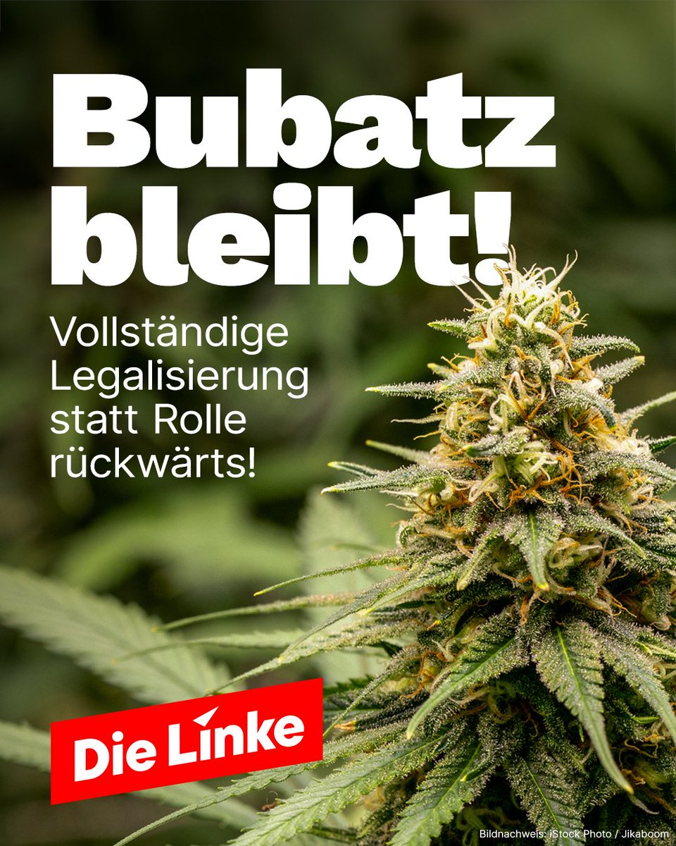 Die Verbotspartei CSU will die Cannabis-Legalisierung kippen. 
Nichts da: Bubatz bleibt!