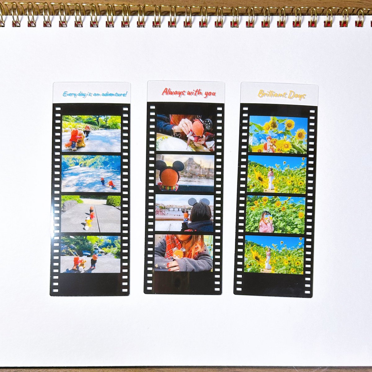 ŹOOĻ コマフィルムササゲロ4コマとも変化あり