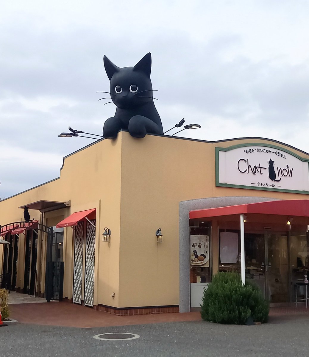 Shara_Shinryu's tweet photo. 黒猫ちゃんモチーフのカフェ　可愛すぎ🐾 https://t.co/SMTjySXXDn