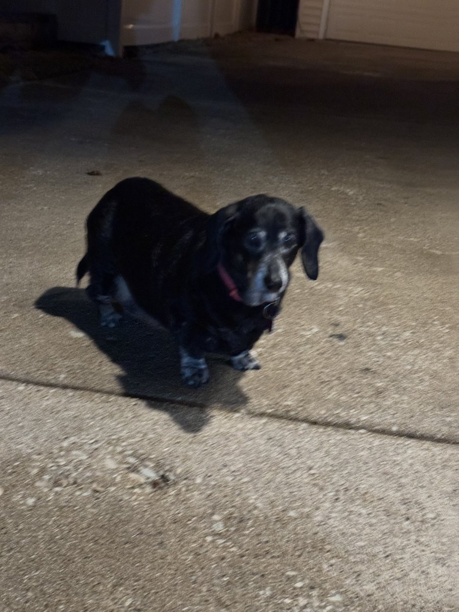 jimaugust tweet media