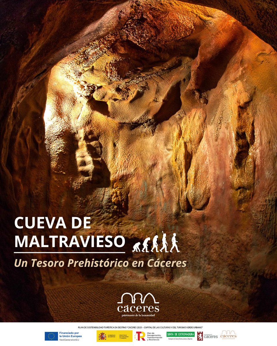 Conoce algunos de los hallazgos de la Cueva de Maltravieso en la Sala de Prehistoria del Museo de Cáceres: cerámicas, cráneos o puntas de lanza 🪨🦴

‼️A partir del 1 de abril se va a abrir la cueva al público con aforo limitado, puedes inscribirte en este link para poder