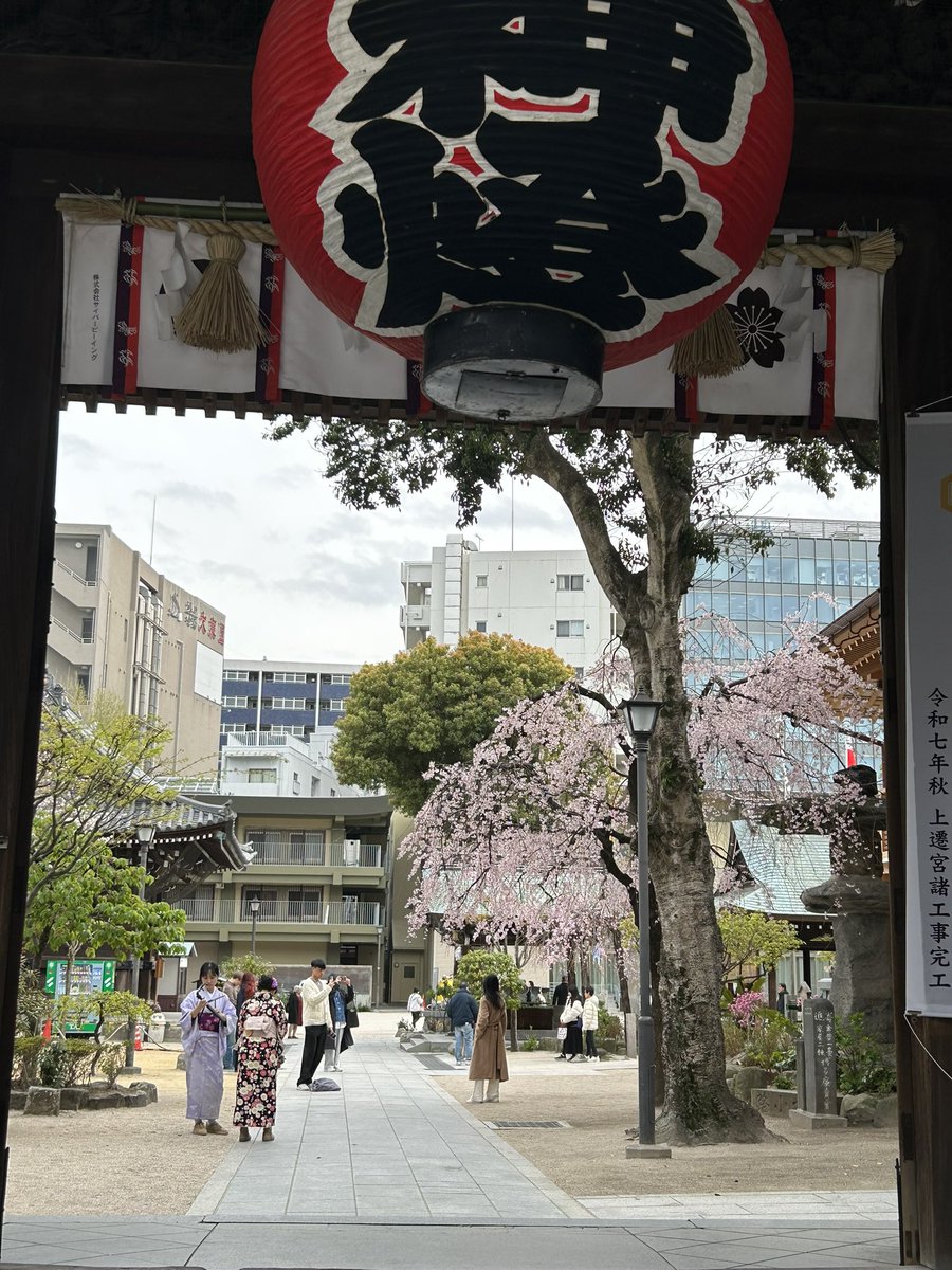 laundry_kai's tweet photo. 五重塔と桜
綺麗すぎる🌸

#東長寺
#桜満開
#桜
#博多区 https://t.co/exPuQC26hH