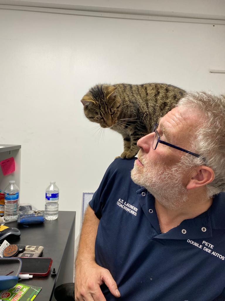 Our experienced team delivers precision with every repair.

Whether it’s a minor scratch or major damage, trust us to get your vehicle back to its best.

With customer satisfaction at the heart of what we do, we’ve become Bromley’s go-to for reliable car repairs.