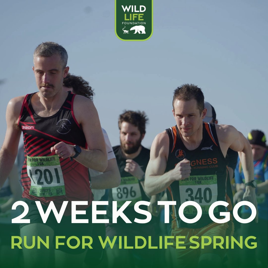 WildLife Foundation tweet media