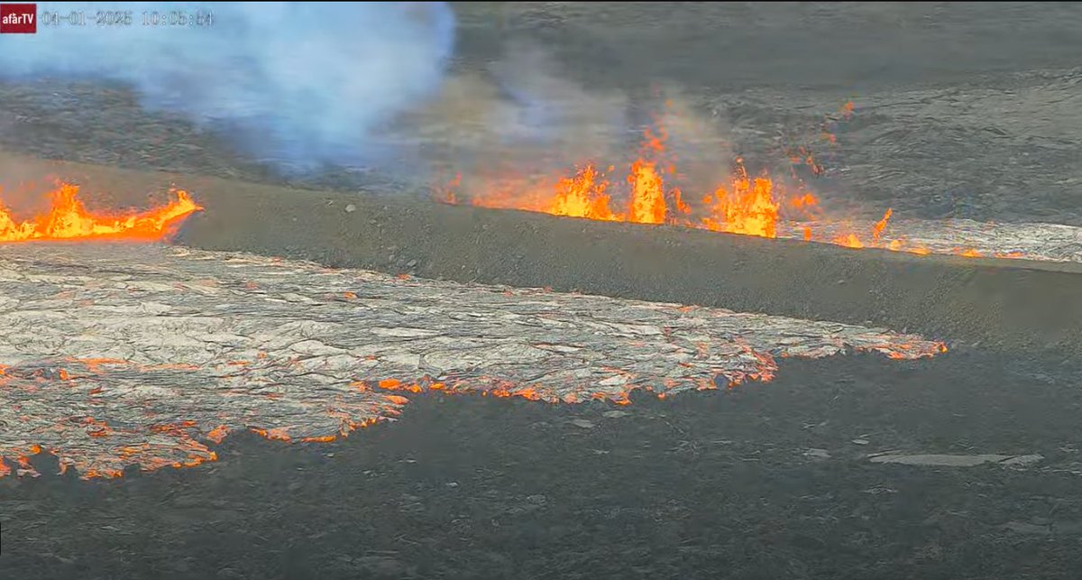 earthy_things tweet media