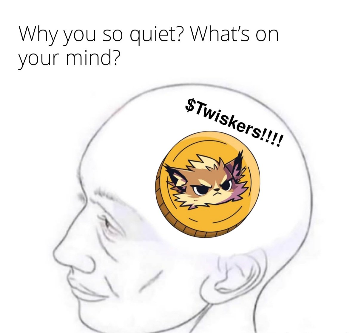 GM TWISKERS 😺

It's TRON meme SZN and all I got on my mind is $TWX