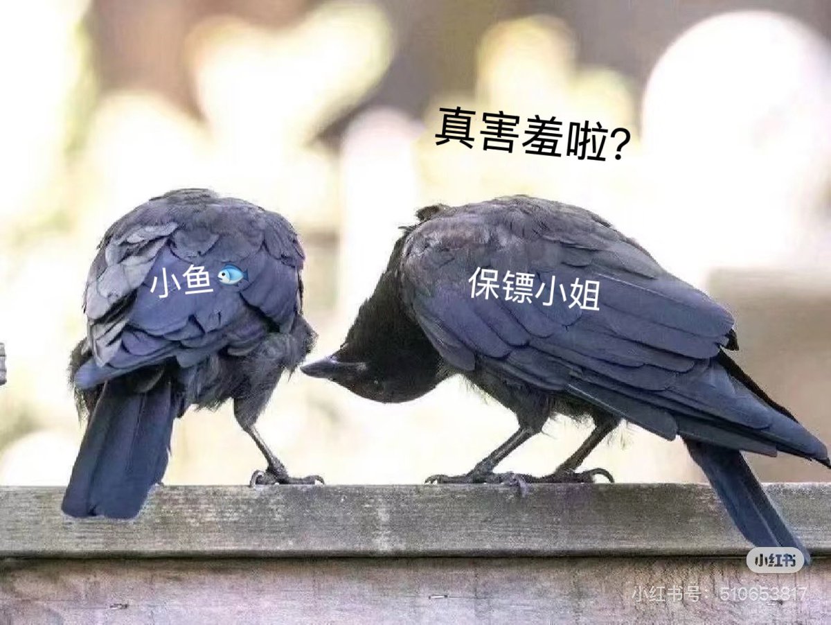ke_lexiansen's tweet image. "真害羞啦?"
"小鱼你耳饰好多,给我带带!怎么不说话了...(掀开)"
(真的很喜欢小鱼带耳饰吼吼吼)
#恋与深空 #祁煜 #LoveandDeepspace #Rafayel #恋と深空 #ホムラ