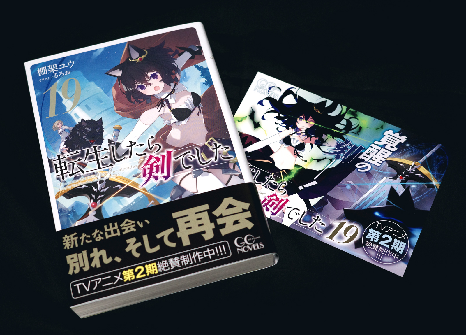 丸山朝ヲ@コミカライズ「転生したら剣でした」17巻発売中 丸山朝ヲ@コミカライズ「転生したら剣でした」17巻発売中