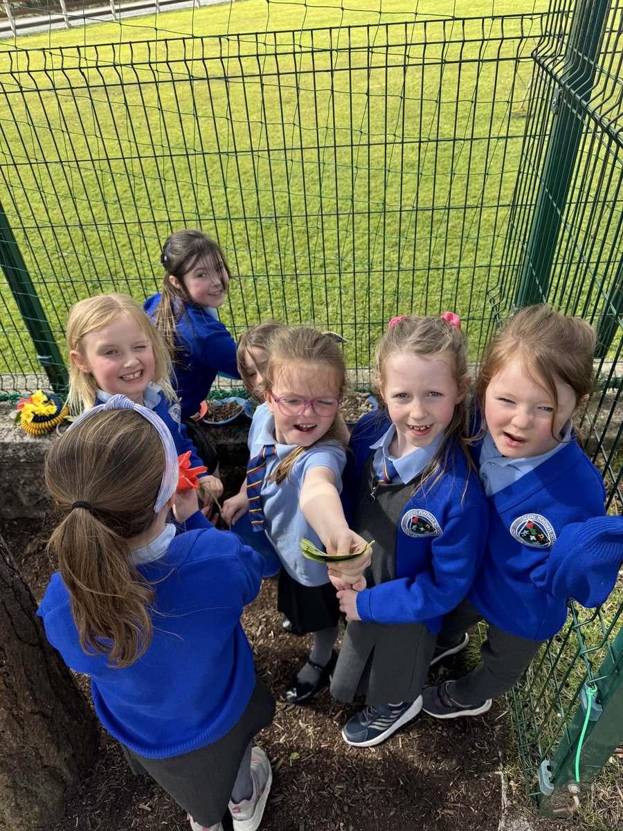 Nature based learning at its finest 🍂 Some of the children set up their own Mc Donald’s restaurant in the yard yesterday. Simple happy childhood memories are being made everyday in St. Joseph’s N.S. <a href="/ActiveFlag/">Active School Flag</a>